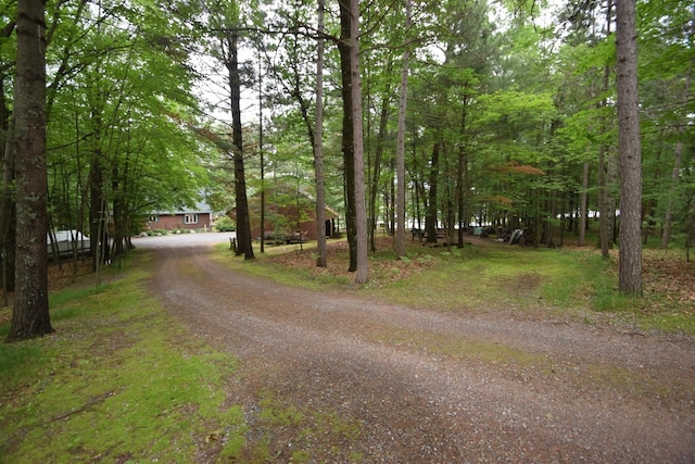 28716 Kilkare Rd, Danbury, WI 54830 - view of dirt / gravel driveway