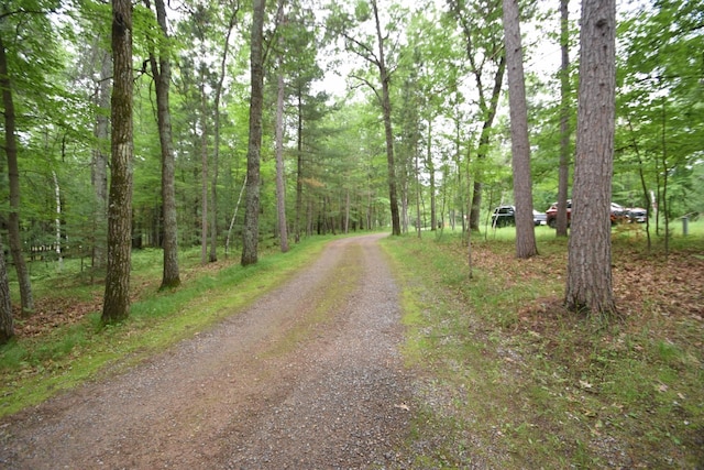 28716 Kilkare Rd, Danbury, WI 54830 - view of dirt / gravel road with a forest view