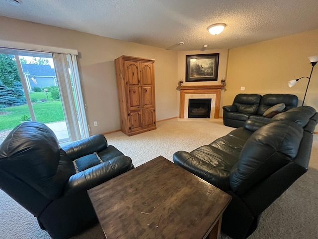 1093 Pinehurst Ln, Jordan, MN 55352 - photo 21