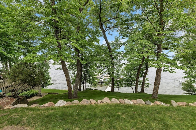13188 Chicago Club Ln NE, Alexandria, MN 56308 - view of green lawn