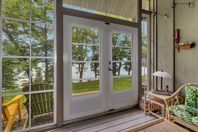 13188 Chicago Club Ln NE, Alexandria, MN 56308 - doorway to outside featuring a water view, plenty of natural light, and light wood-type flooring