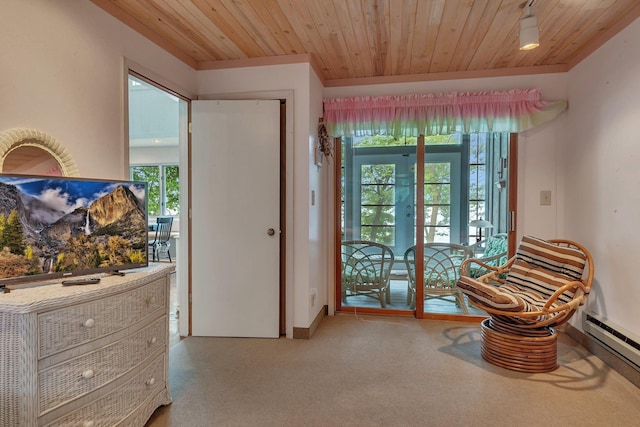 13188 Chicago Club Ln NE, Alexandria, MN 56308 - sitting room with a baseboard heating unit and wooden ceiling