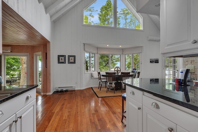 13188 Chicago Club Ln NE, Alexandria, MN 56308 - kitchen featuring high vaulted ceiling, light wood-style floors, a baseboard radiator, healthy amount of natural light, and wooden walls