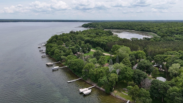 13188 Chicago Club Ln NE, Alexandria, MN 56308 - drone / aerial view of a large body of water and a heavily wooded area