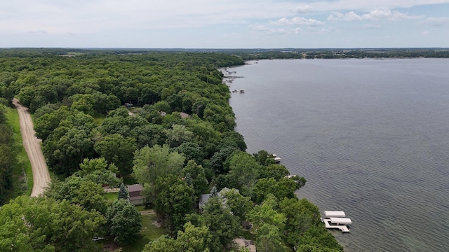 13188 Chicago Club Ln NE, Alexandria, MN 56308 - drone / aerial view of a nearby body of water and a forest