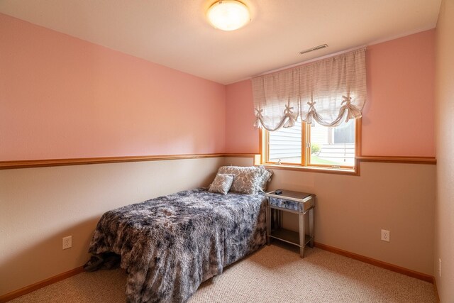 221 Victoria Blvd, Mankato, MN 56001 - photo 23