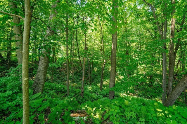 1115 Timber Path, Menomonie, WI 54751 - view of woods