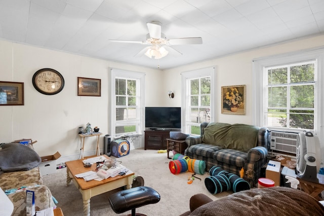 321 6th Ave E, Alexandria, MN 56308 - living room with carpet floors and ceiling fan