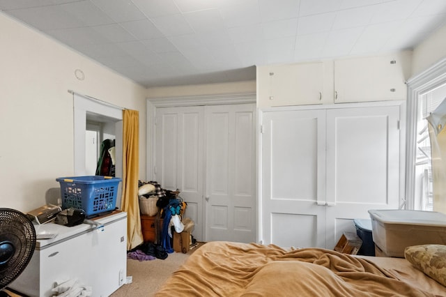 321 6th Ave E, Alexandria, MN 56308 - bedroom with a closet and light carpet