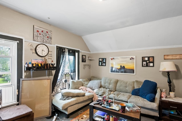 321 6th Ave E, Alexandria, MN 56308 - living room with healthy amount of natural light and lofted ceiling