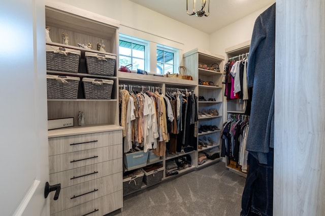 1500 Weatherhill Ridge Ct SW, Rochester Twp, MN 55902 - spacious closet with carpet