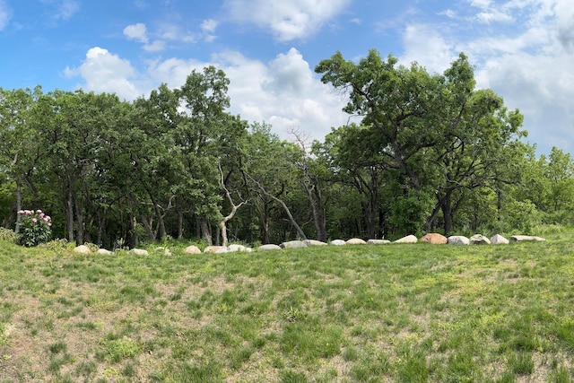 1500 Weatherhill Ridge Ct SW, Rochester Twp, MN 55902 - view of yard