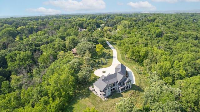 1500 Weatherhill Ridge Ct SW, Rochester Twp, MN 55902 - aerial view of a forest