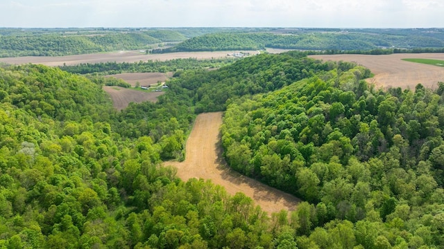 0 145th Ave, Maiden Rock, WI 54761