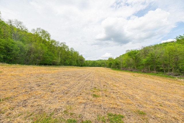 0 145th Ave, Maiden Rock, WI 54761