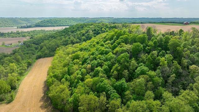 0 145th Ave, Maiden Rock, WI 54761