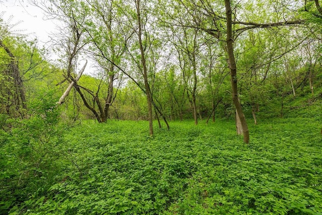 0 145th Ave, Maiden Rock, WI 54761