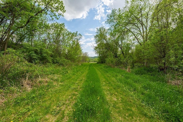 0 145th Ave, Maiden Rock, WI 54761