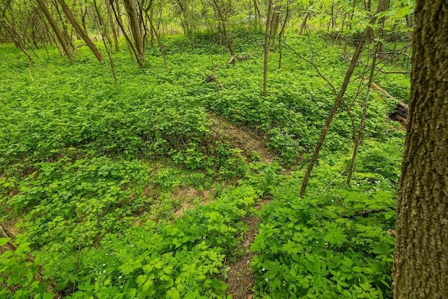 0 145th Ave, Maiden Rock, WI 54761