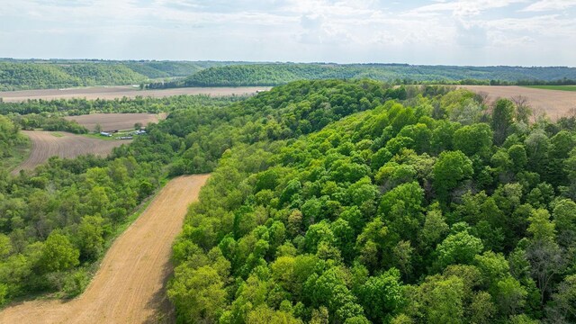 0 145th Ave, Maiden Rock, WI 54761