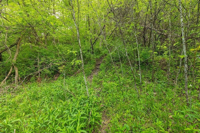 0 145th Ave, Maiden Rock, WI 54761