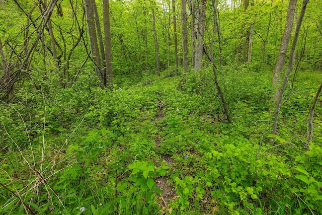 0 145th Ave, Maiden Rock, WI 54761