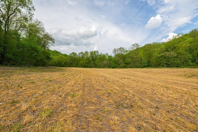 0 145th Ave, Maiden Rock, WI 54761