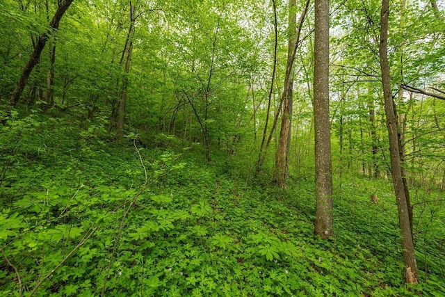 0 145th Ave, Maiden Rock, WI 54761