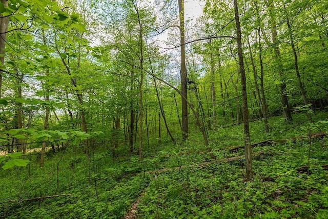 0 145th Ave, Maiden Rock, WI 54761