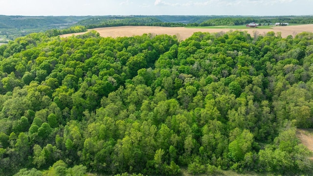 0 145th Ave, Maiden Rock, WI 54761