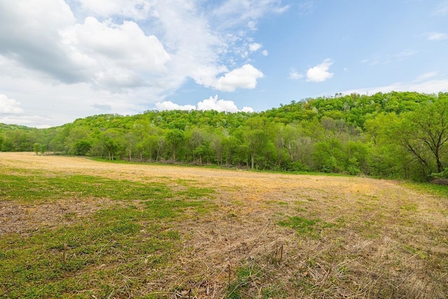 0 145th Ave, Maiden Rock, WI 54761