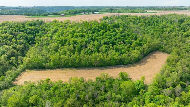 0 145th Ave, Maiden Rock, WI 54761