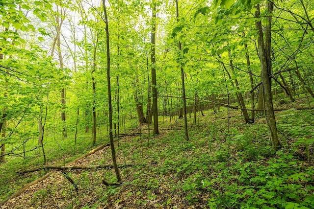 0 145th Ave, Maiden Rock, WI 54761