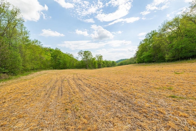 0 145th Ave, Maiden Rock, WI 54761