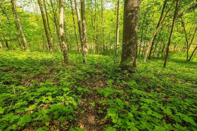 0 145th Ave, Maiden Rock, WI 54761