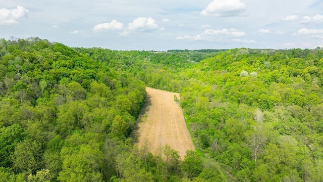 0 145th Ave, Maiden Rock, WI 54761