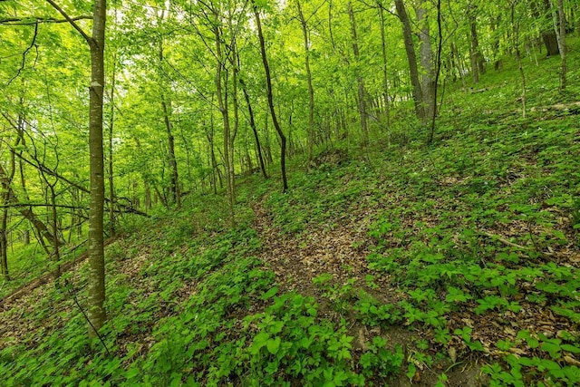 0 145th Ave, Maiden Rock, WI 54761
