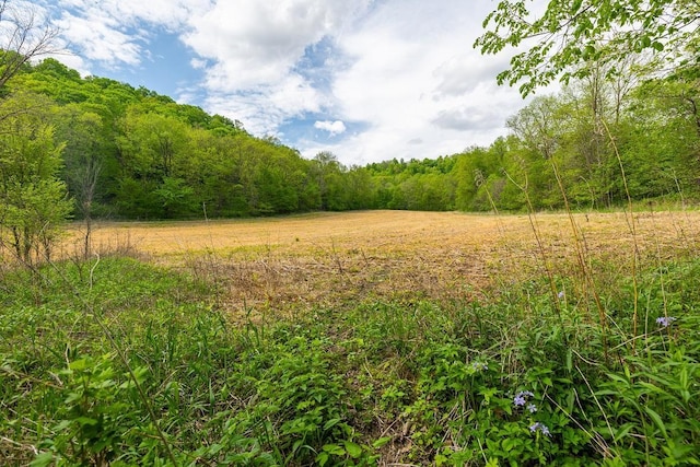 0 145th Ave, Maiden Rock, WI 54761