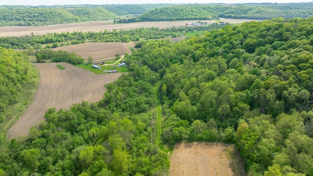0 145th Ave, Maiden Rock, WI 54761