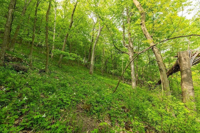 0 145th Ave, Maiden Rock, WI 54761