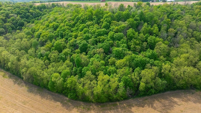 0 145th Ave, Maiden Rock, WI 54761