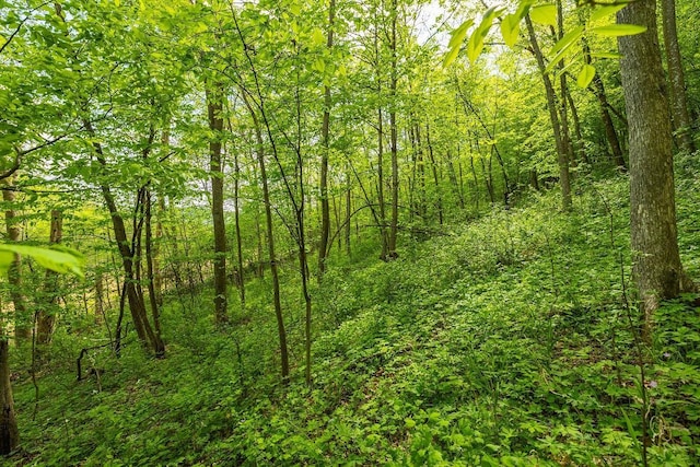 0 145th Ave, Maiden Rock, WI 54761