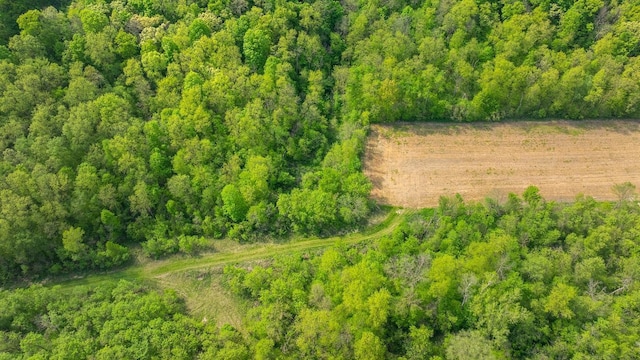 0 145th Ave, Maiden Rock, WI 54761