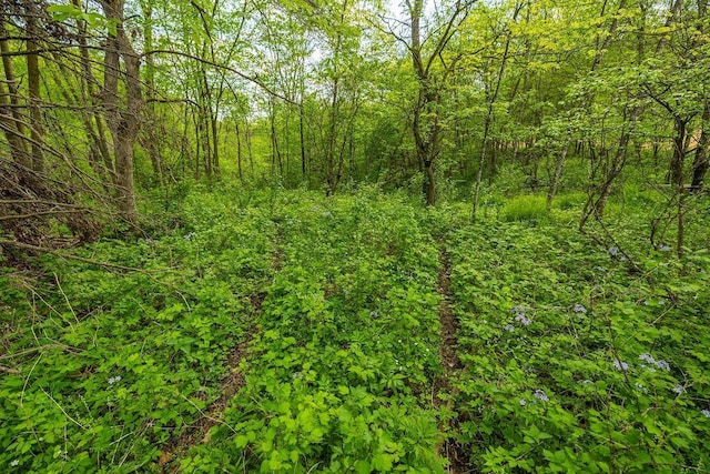 0 145th Ave, Maiden Rock, WI 54761