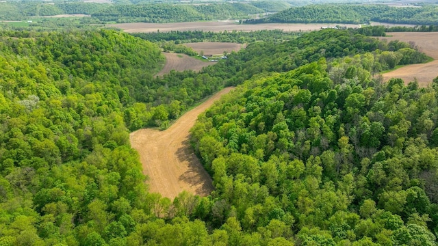 0 145th Ave, Maiden Rock, WI 54761