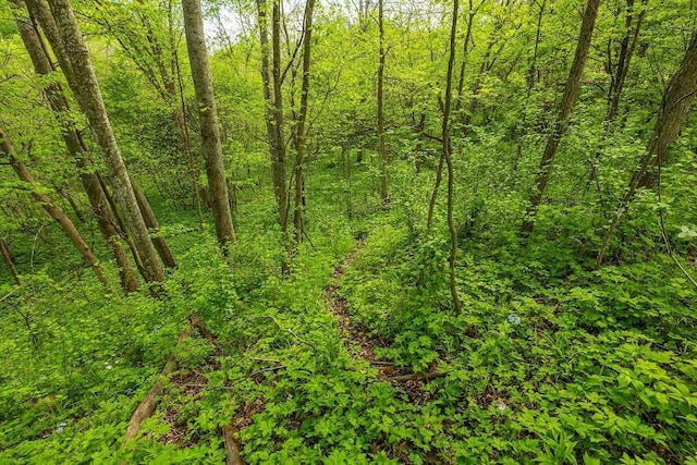 0 145th Ave, Maiden Rock, WI 54761