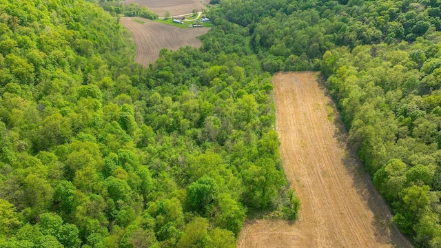 0 145th Ave, Maiden Rock, WI 54761