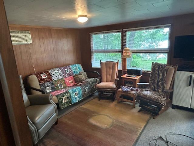 1906 Hay Lake Dr NW, Ponto Lake Twp, MN 56474 - living room featuring radiator heating unit, wood walls, and plenty of natural light