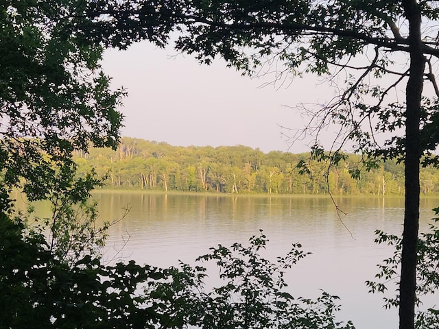 1906 Hay Lake Dr NW, Ponto Lake Twp, MN 56474 - water view featuring a forest