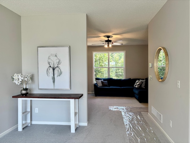 8389 Norwood Ln N, Maple Grove, MN 55369 - hallway featuring carpet floors and a textured ceiling